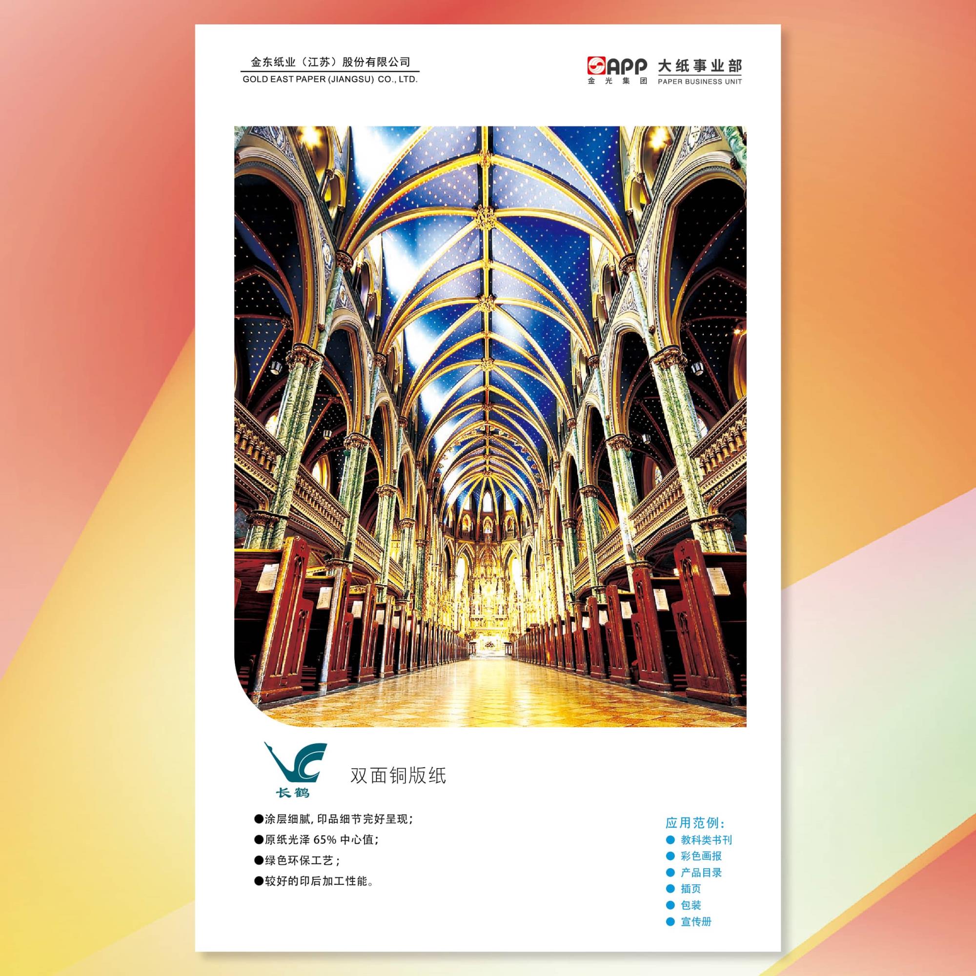 6384472438528996382435581